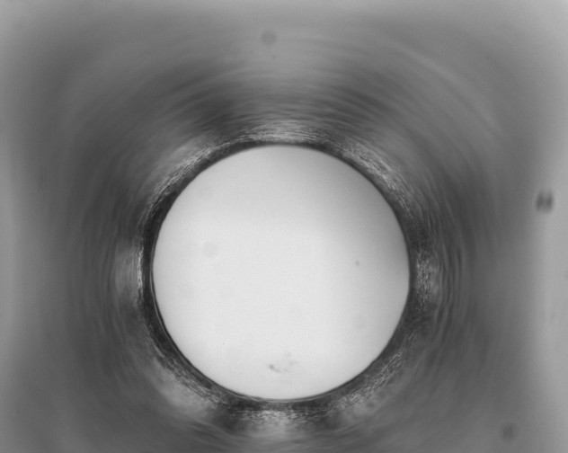 X0000096180302200801251222