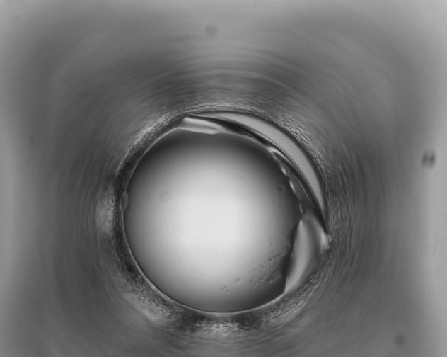X0000096180304200801251222