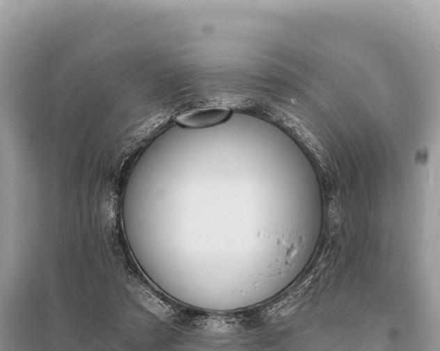 X0000096180305200801251222
