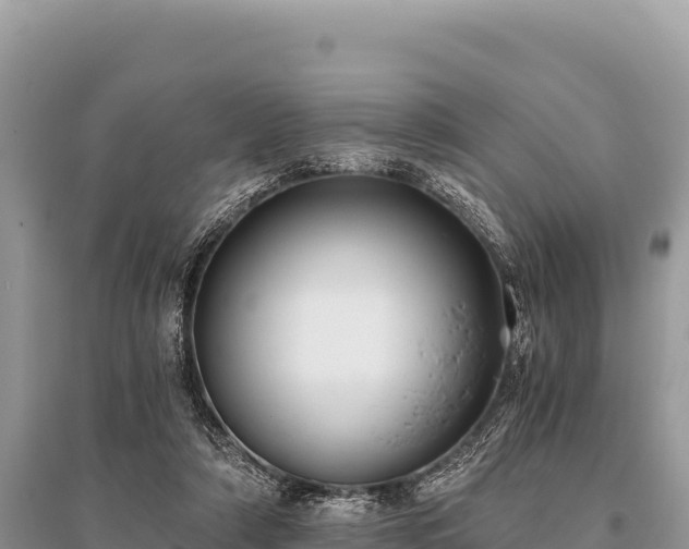 X0000096180306200801251222