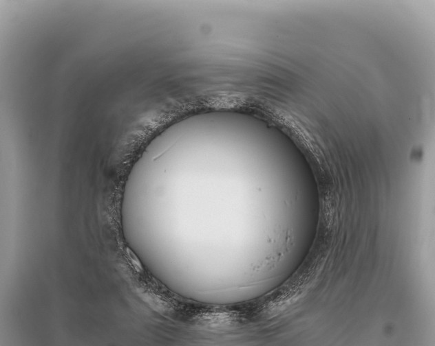 X0000096180307200801251222
