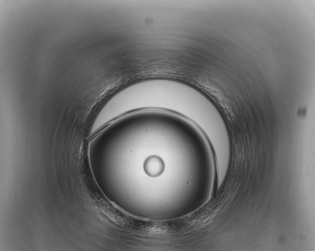 X0000096180308200801251222