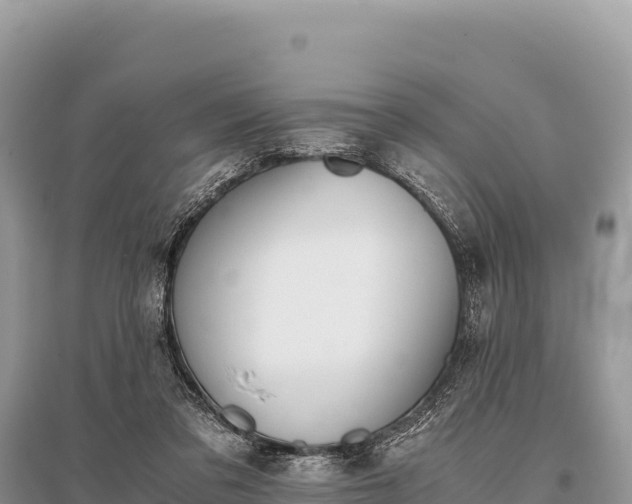 X0000096180309200801251222