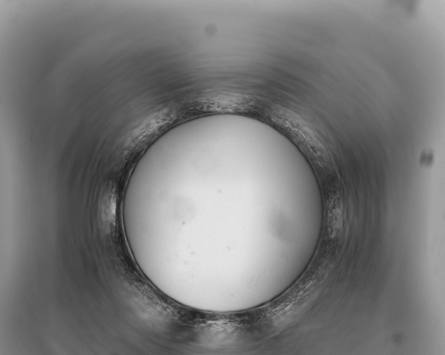X0000096180310200801251222