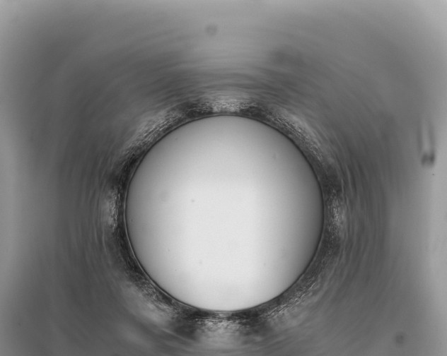 X0000096180311200801251222