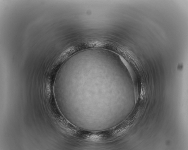 X0000096180312200801251222