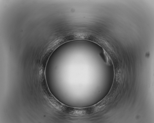 X0000096180314200801251222