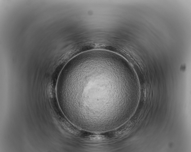 X0000096180316200801251222