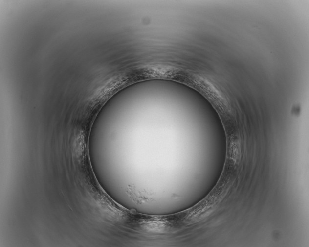 X0000096180318200801251222