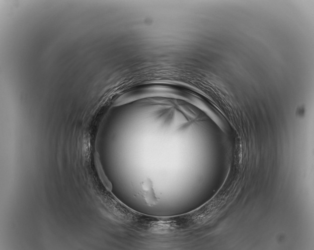 X0000096180320200801251222
