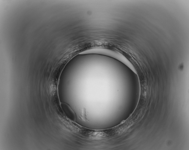 X0000096180324200801251222