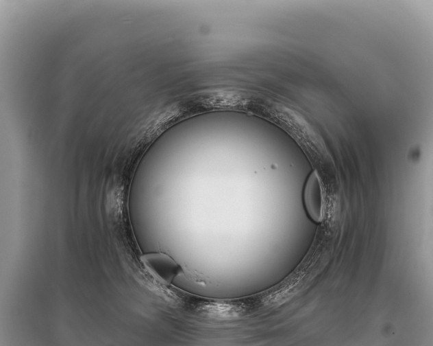 X0000096180326200801251222