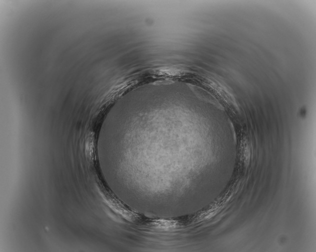 X0000096180328200801251222
