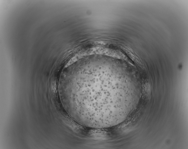 X0000096180331200801251222