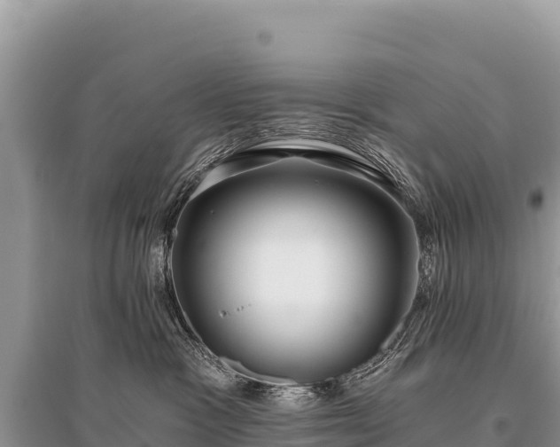 X0000096180333200801251222