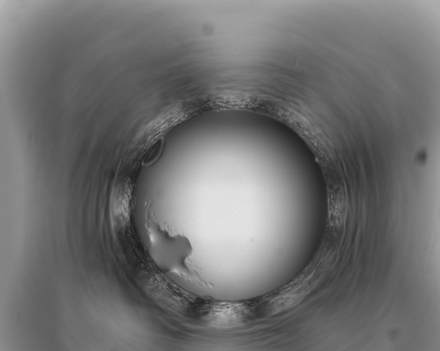 X0000096180334200801251222