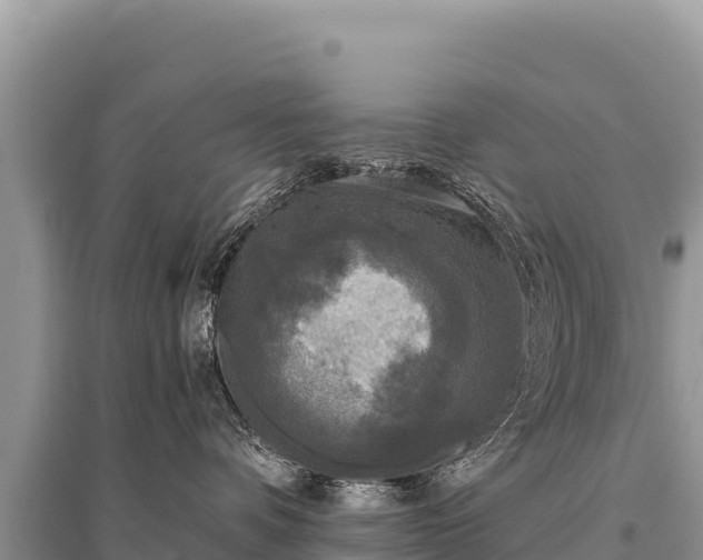 X0000096180336200801251222
