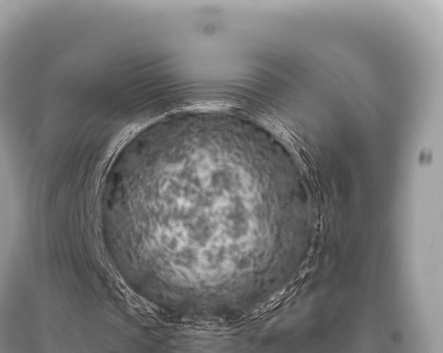 X0000096180337200801251221