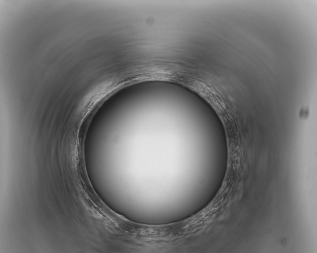 X0000096180338200801251221