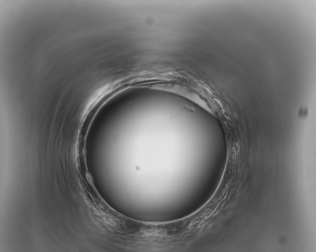 X0000096180340200801251221