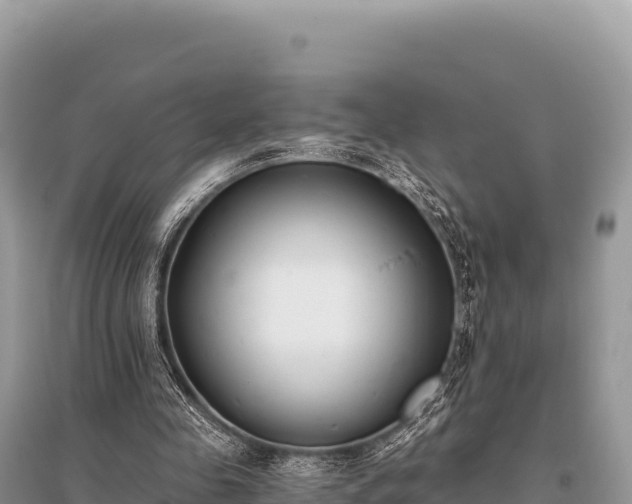 X0000096180341200801251221
