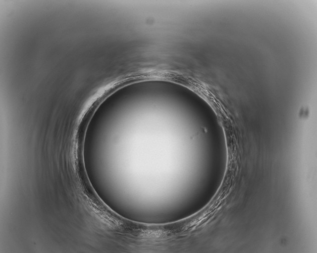 X0000096180342200801251221