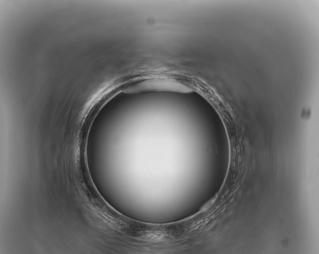 X0000096180344200801251221