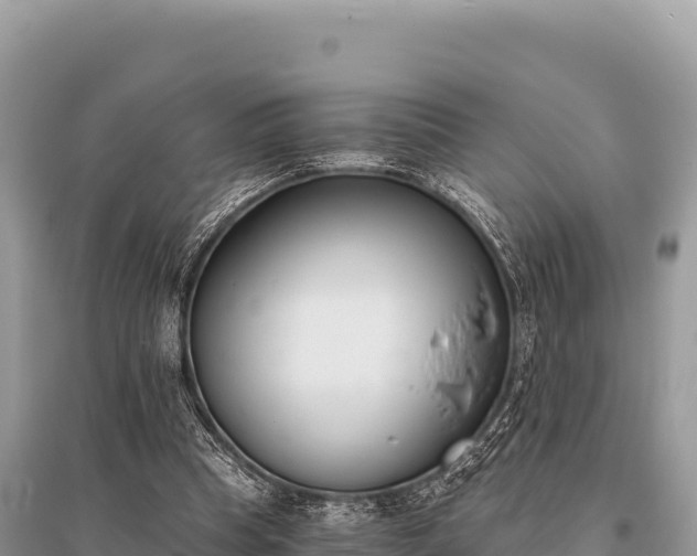 X0000096180345200801251221