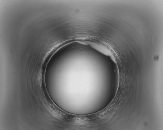 X0000096180346200801251221