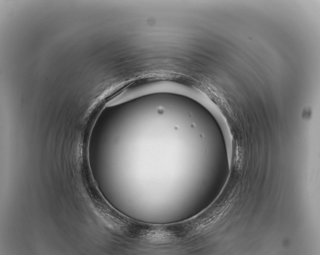 X0000096180348200801251221