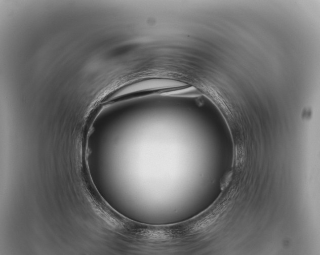 X0000096180349200801251221