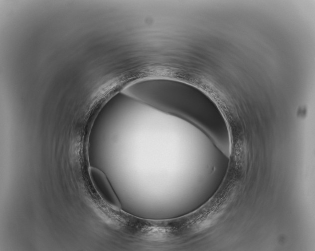 X0000096180352200801251221