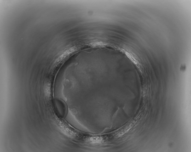 X0000096180353200801251221