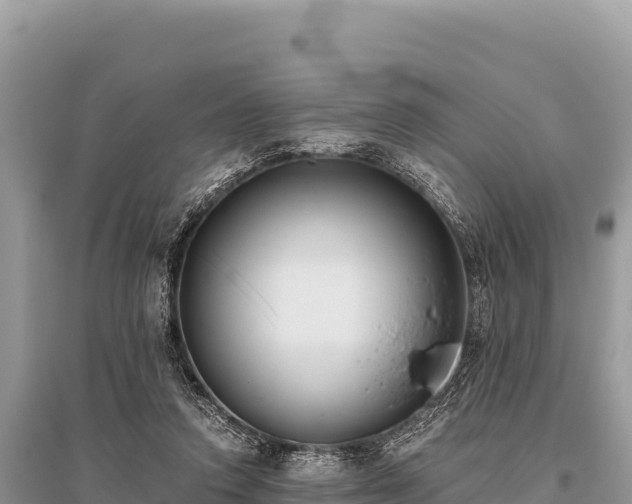 X0000096180354200801251221