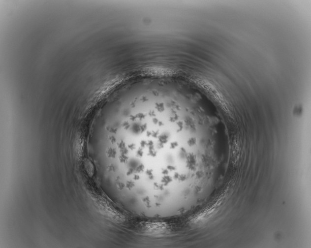 X0000096180355200801251221
