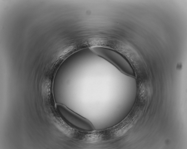 X0000096180356200801251221