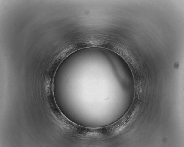 X0000096180360200801251221