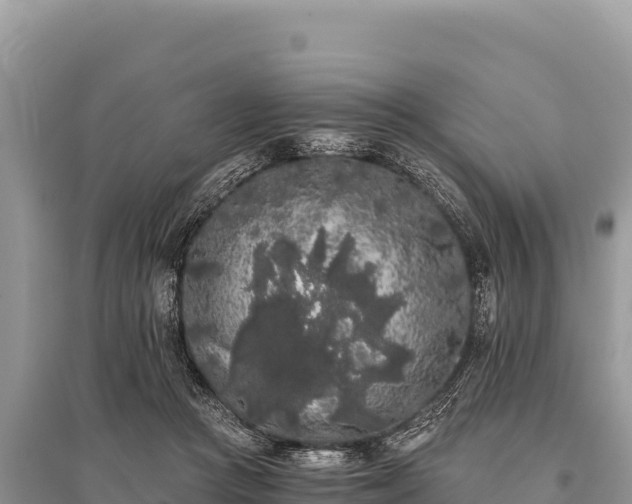 X0000096180361200801251221