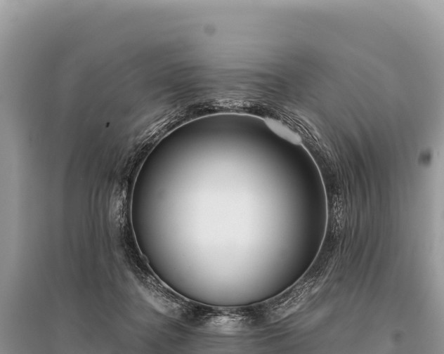 X0000096180364200801251221