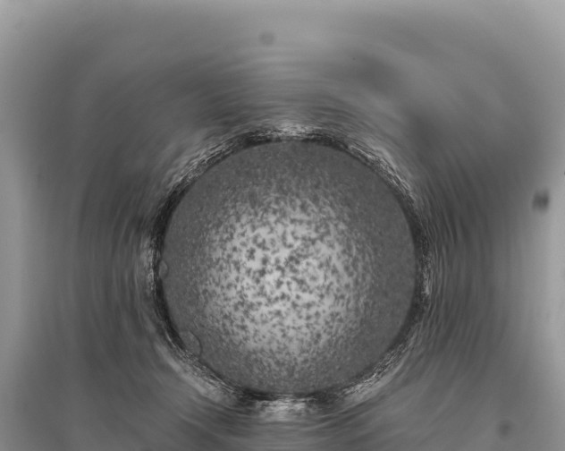 X0000096180366200801251222