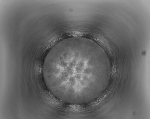 X0000096180367200801251222