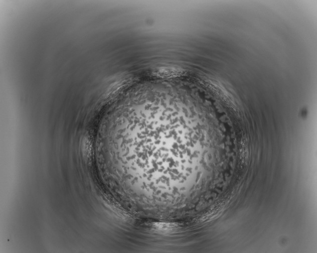 X0000096180371200801251222