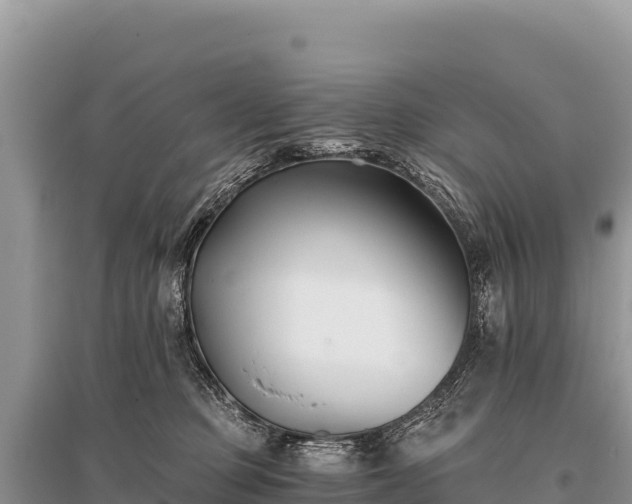 X0000096180373200801251222