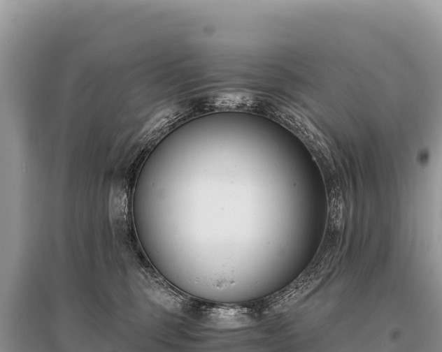 X0000096180375200801251222