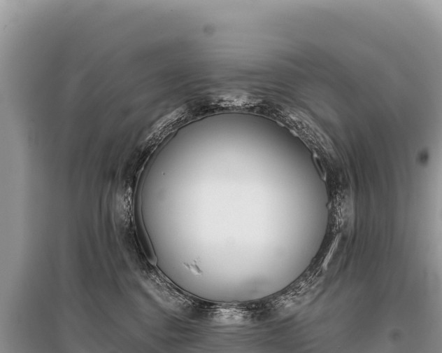 X0000096180376200801251222