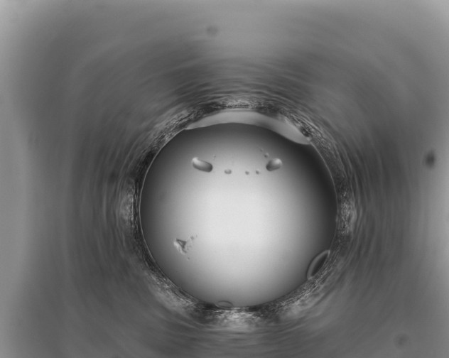 X0000096180379200801251222