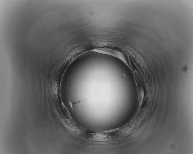 X0000096180380200801251222