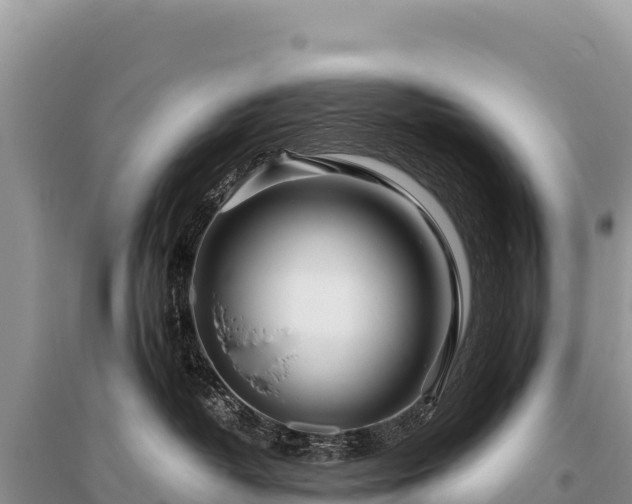 X0000096180382200801251222