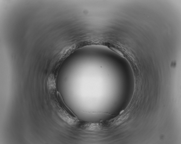 X0000096180384200801251222