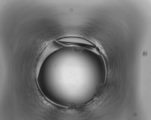 X0000096180385200801251221